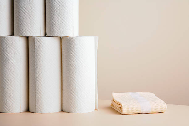 Stocked paper towels and cleaning supplies